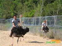 Thac prenn Thac prenn